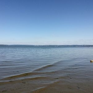 Meet your Posher, Miguel